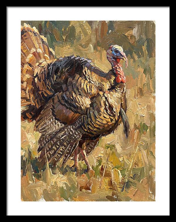 Turkey In Natural Habitat