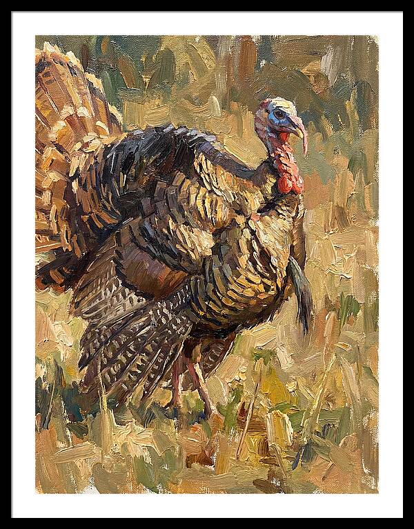 Turkey In Natural Habitat
