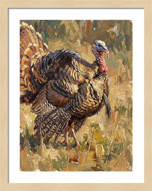 Turkey In Natural Habitat