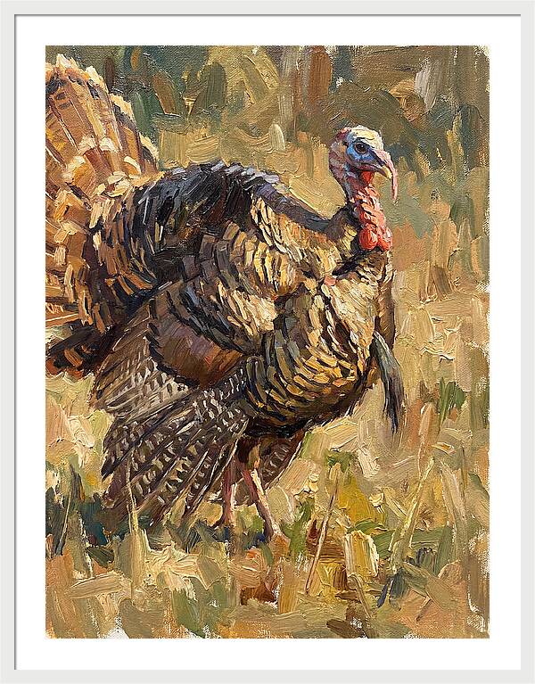Turkey In Natural Habitat