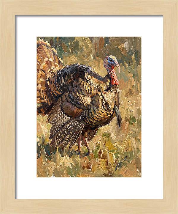Turkey In Natural Habitat