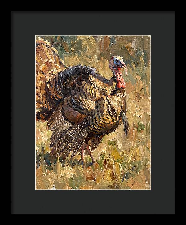 Turkey In Natural Habitat