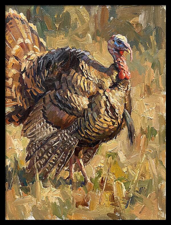Turkey In Natural Habitat