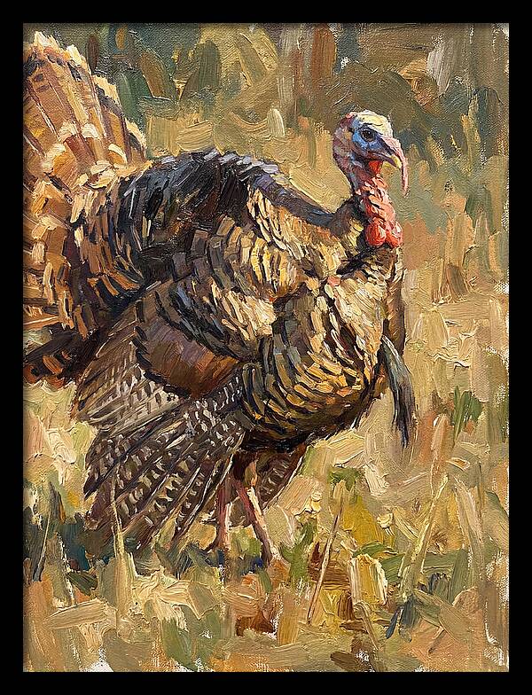 Turkey In Natural Habitat
