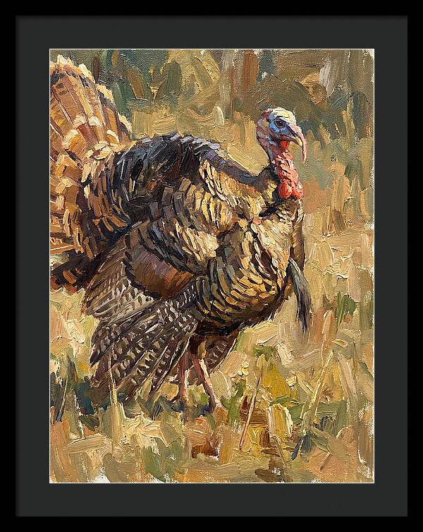 Turkey In Natural Habitat