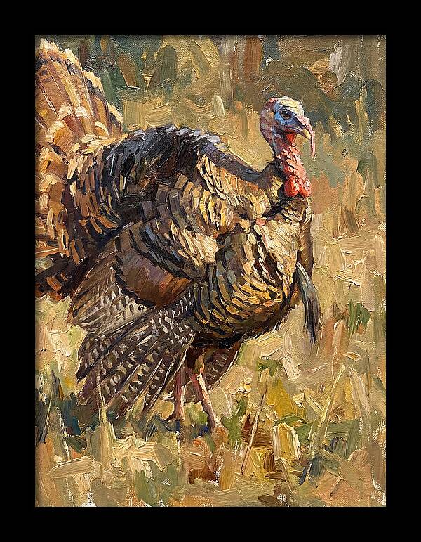 Turkey In Natural Habitat