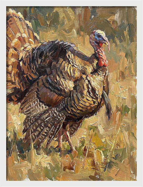 Turkey In Natural Habitat