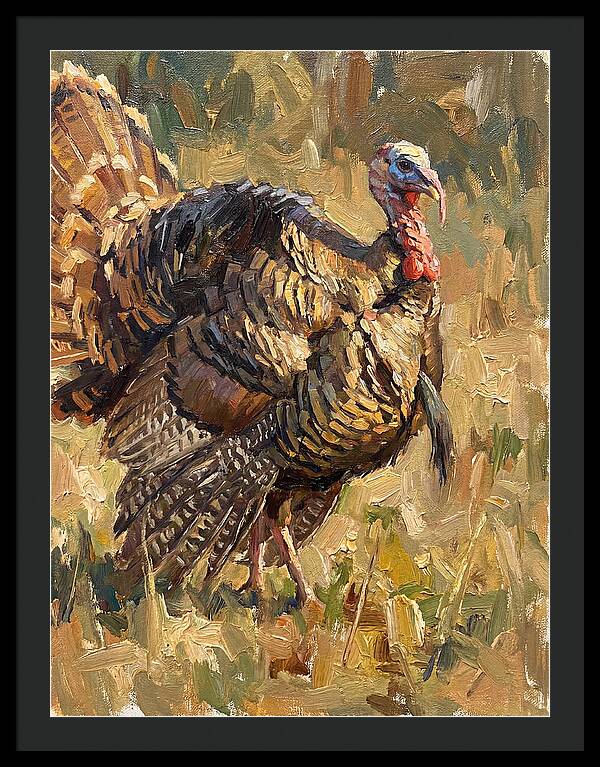 Turkey In Natural Habitat