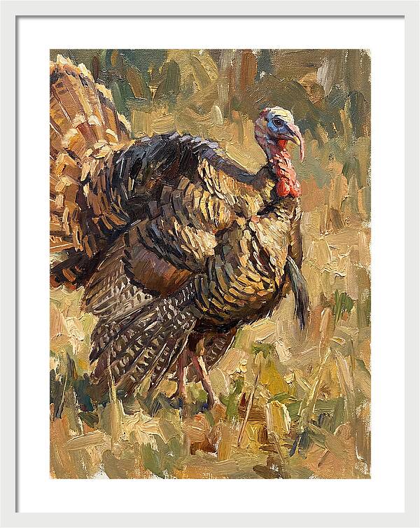 Turkey In Natural Habitat