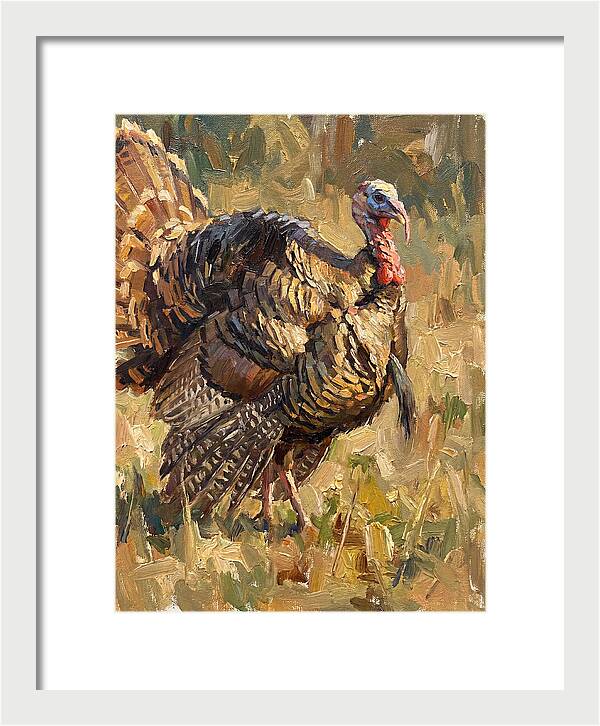 Turkey In Natural Habitat