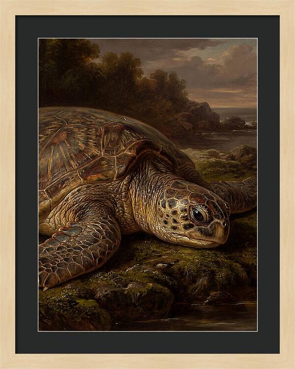 Turtle Resting By The Shore