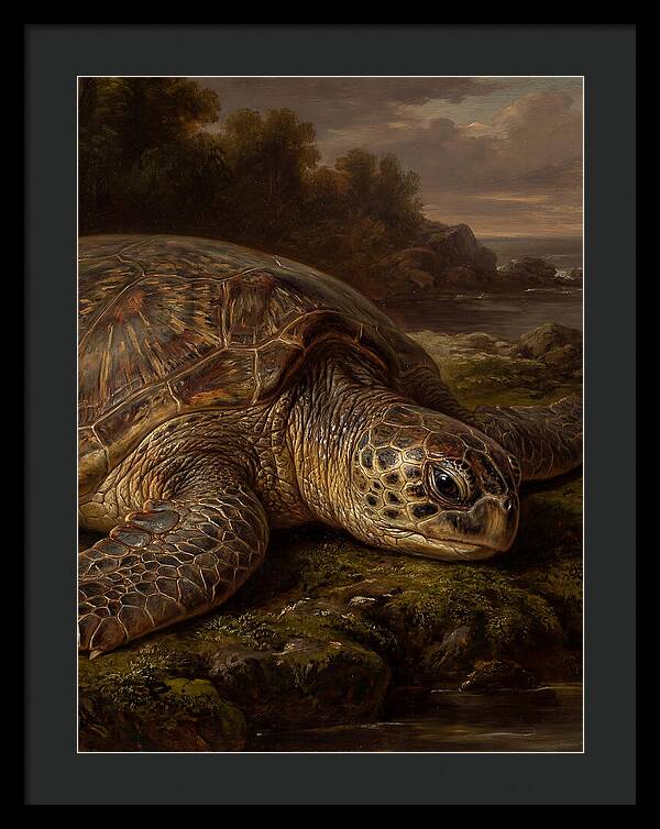 Turtle Resting By The Shore