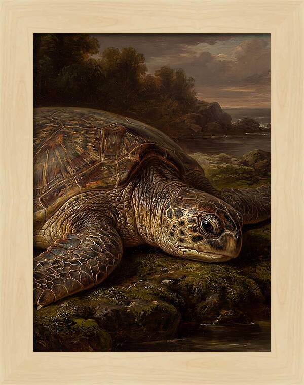 Turtle Resting By The Shore