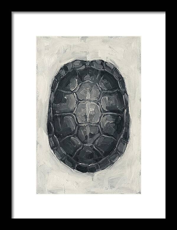 Turtle Shell Minimalism