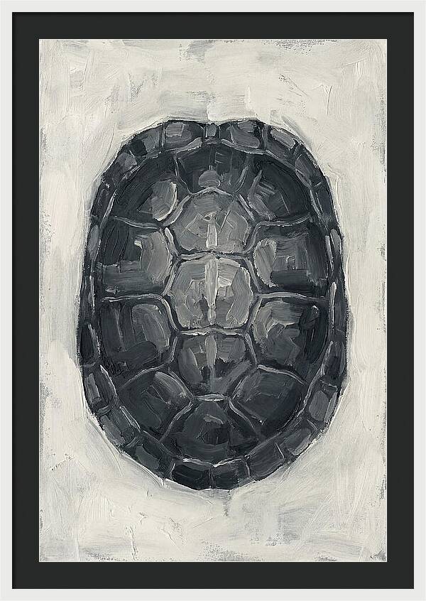 Turtle Shell Minimalism