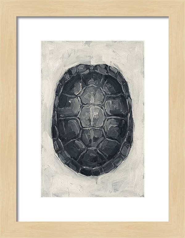 Turtle Shell Minimalism