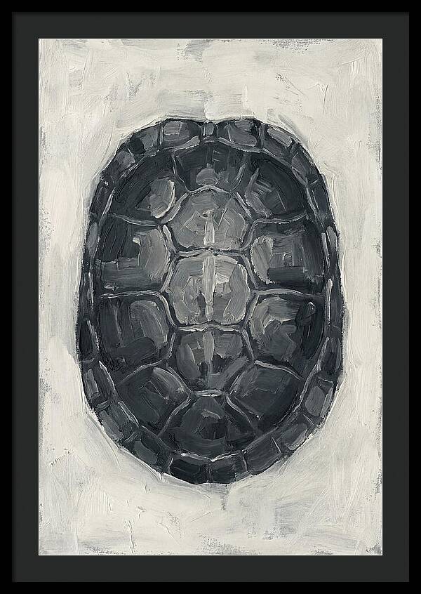 Turtle Shell Minimalism