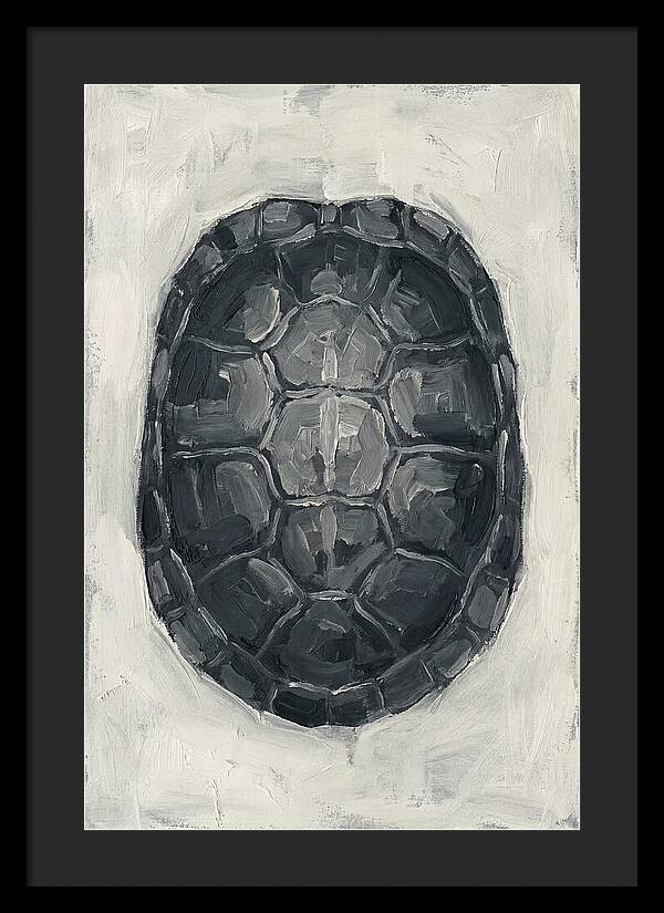 Turtle Shell Minimalism
