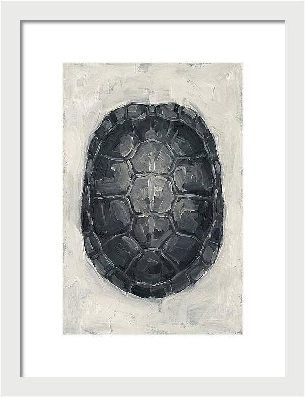 Turtle Shell Minimalism