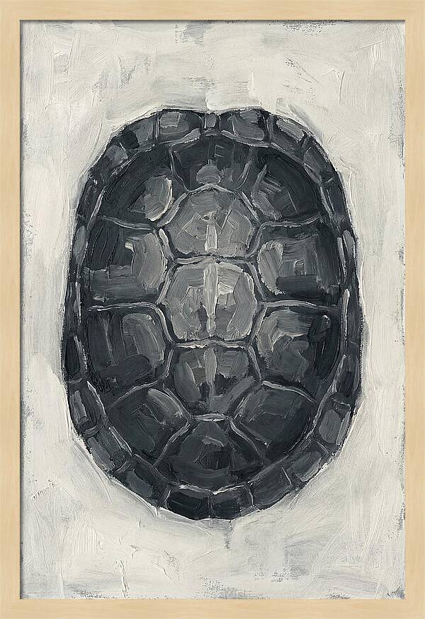 Turtle Shell Minimalism