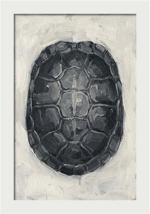 Turtle Shell Minimalism