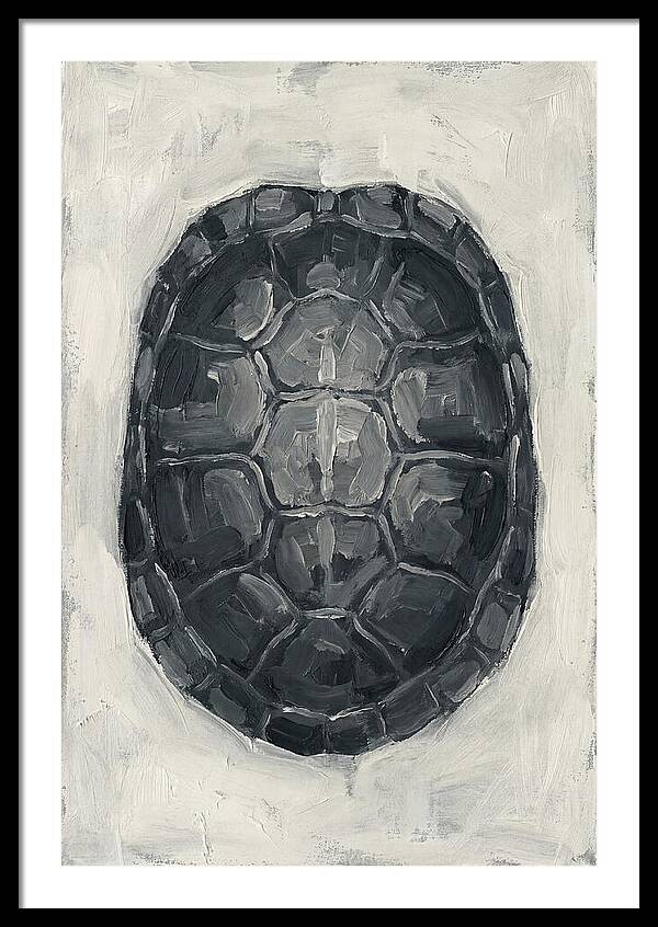 Turtle Shell Minimalism