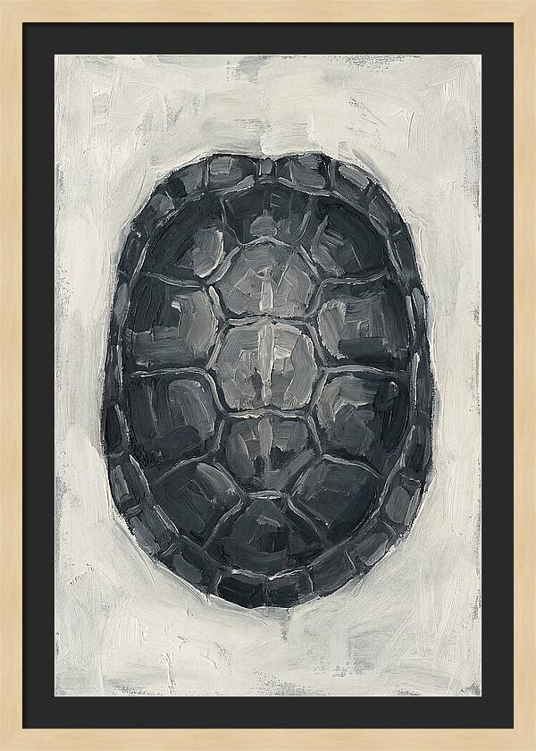 Turtle Shell Minimalism