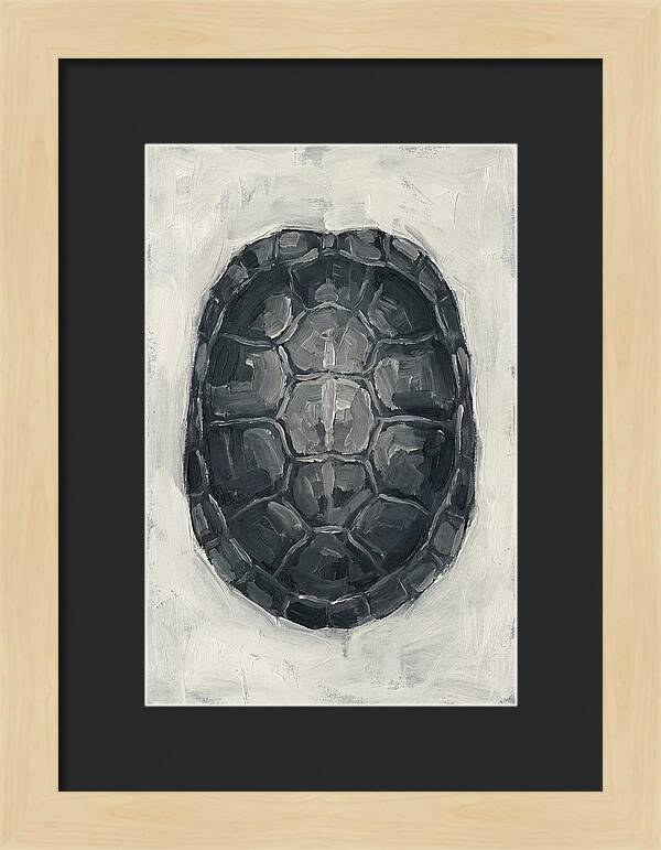 Turtle Shell Minimalism