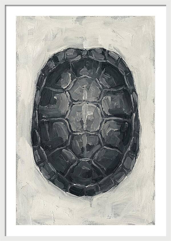 Turtle Shell Minimalism