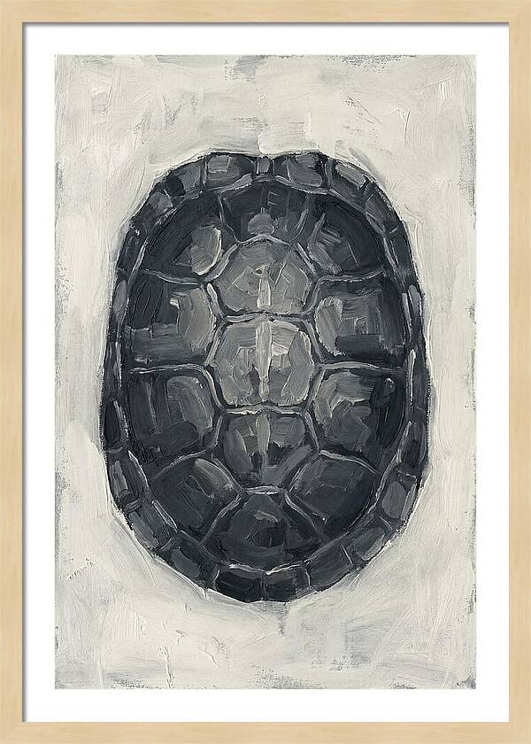 Turtle Shell Minimalism