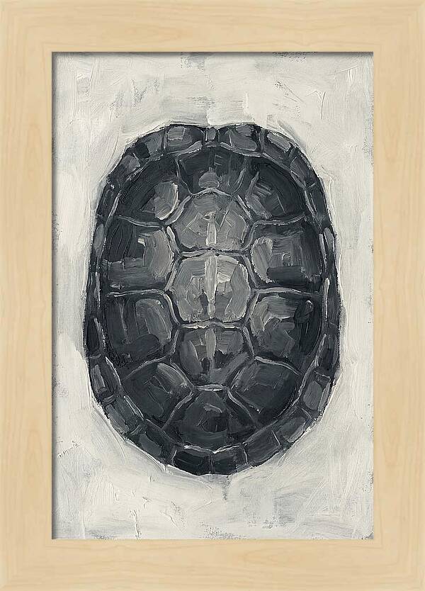 Turtle Shell Minimalism