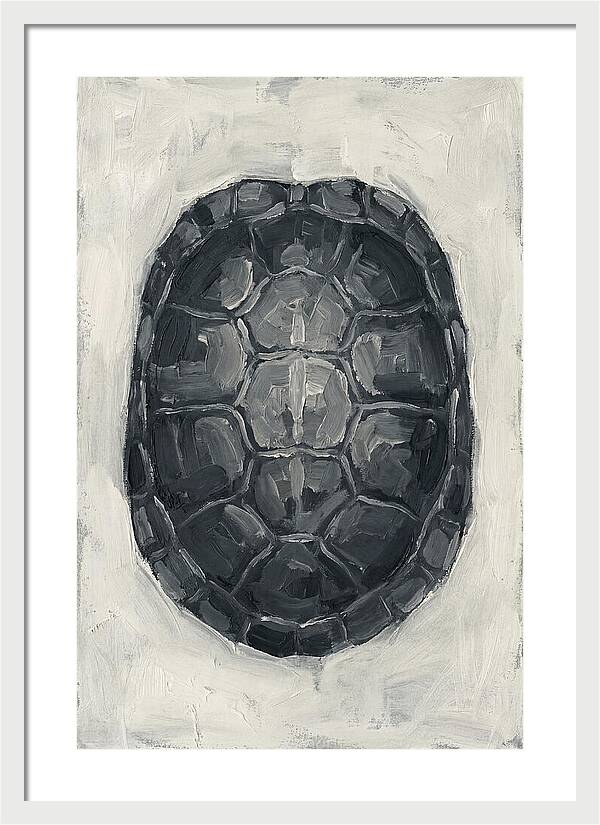 Turtle Shell Minimalism