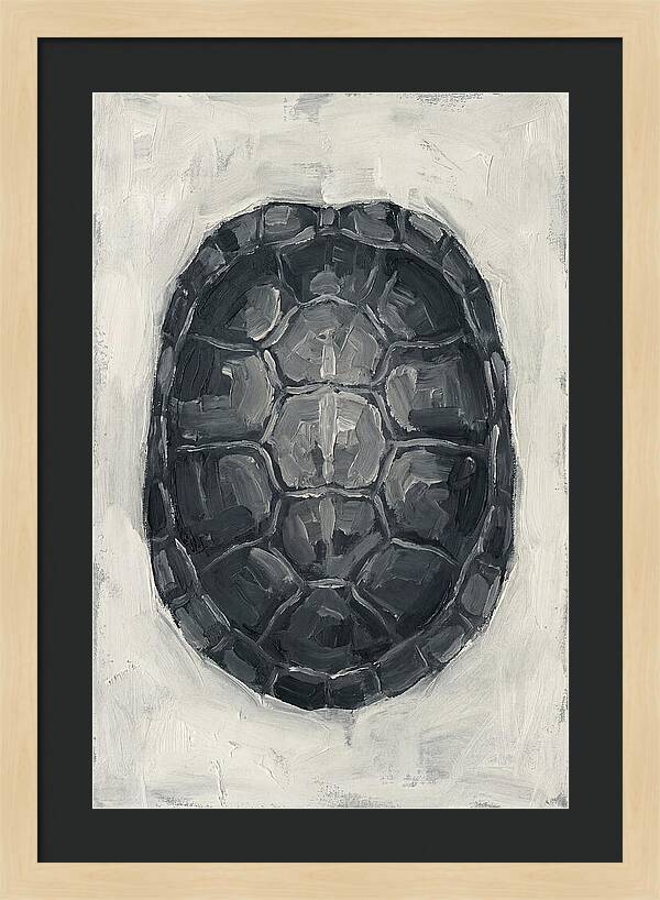 Turtle Shell Minimalism
