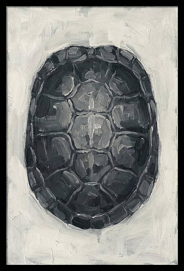 Turtle Shell Minimalism