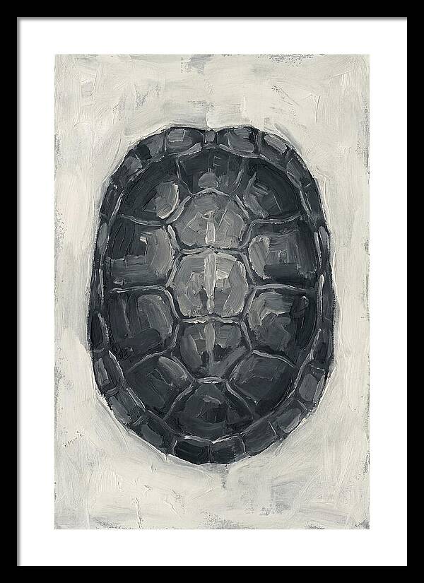 Turtle Shell Minimalism