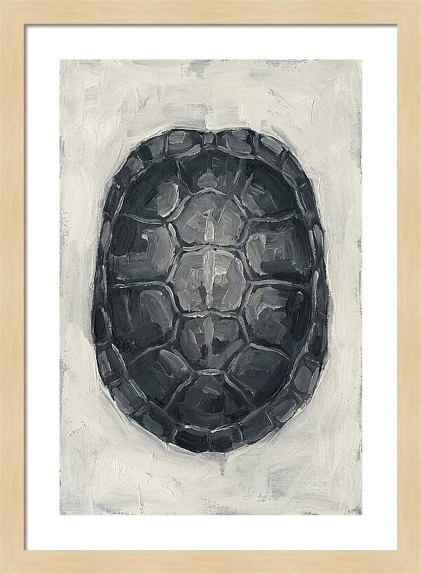 Turtle Shell Minimalism