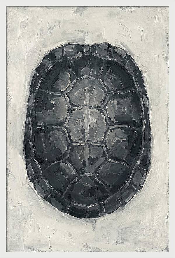 Turtle Shell Minimalism