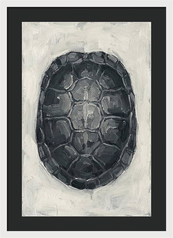 Turtle Shell Minimalism