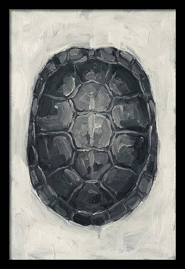 Turtle Shell Minimalism