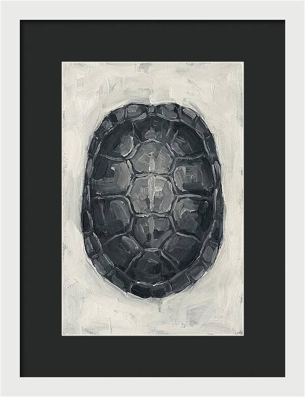 Turtle Shell Minimalism