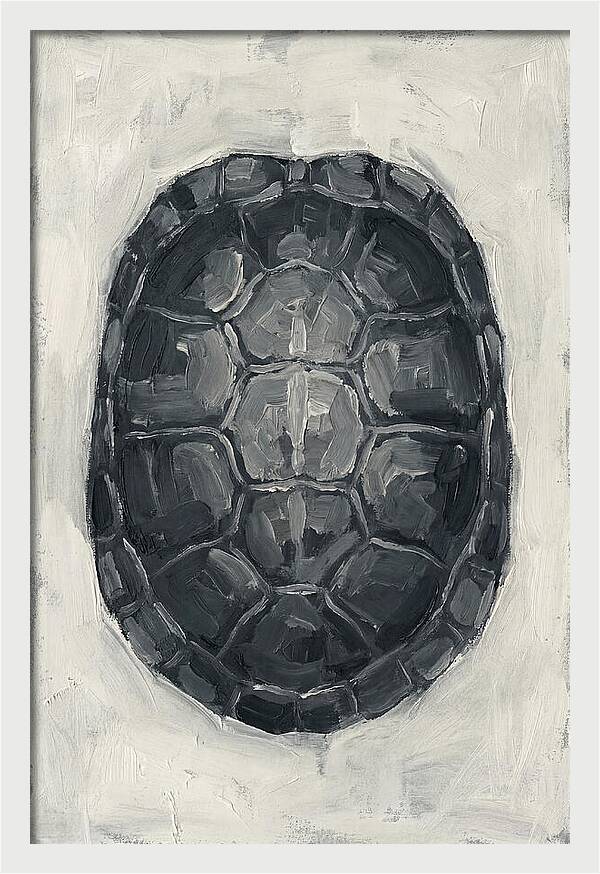 Turtle Shell Minimalism