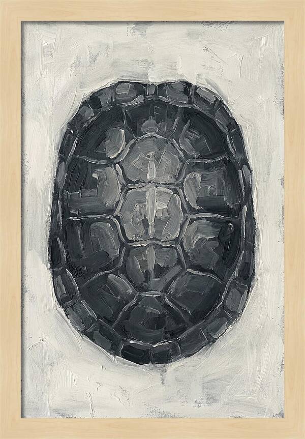 Turtle Shell Minimalism