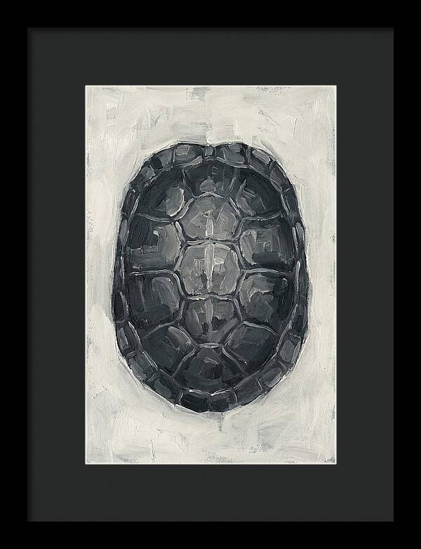 Turtle Shell Minimalism
