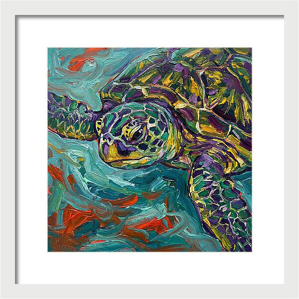 Turtle Tranquility
