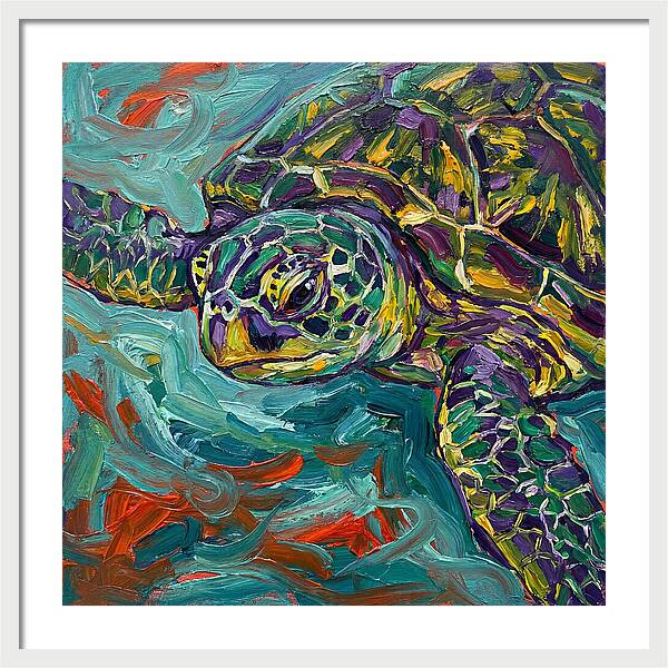 Turtle Tranquility
