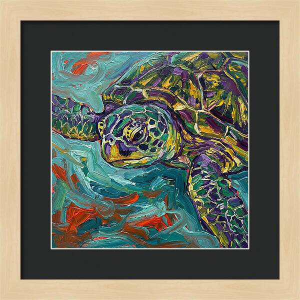 Turtle Tranquility