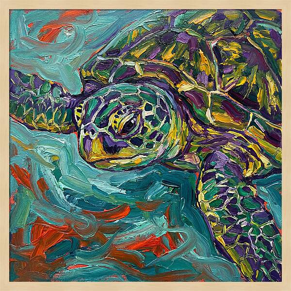Turtle Tranquility