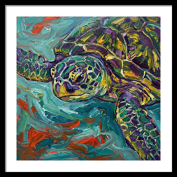 Turtle Tranquility