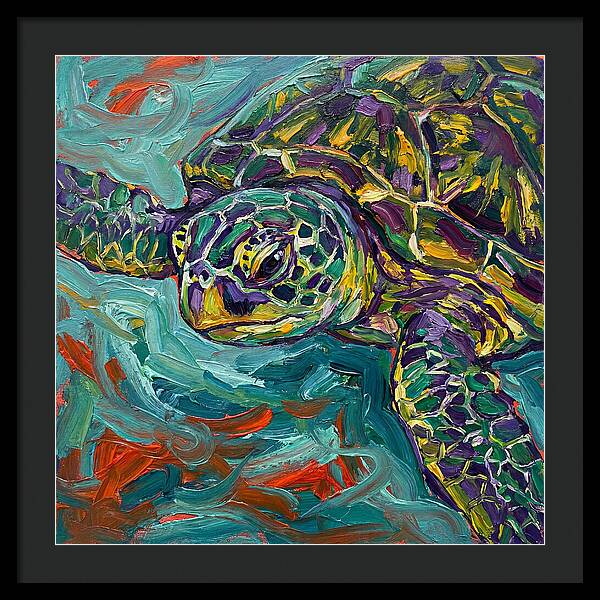 Turtle Tranquility