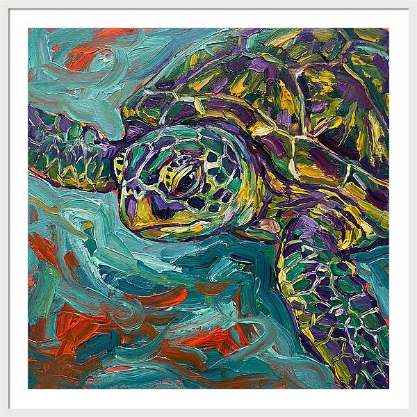 Turtle Tranquility